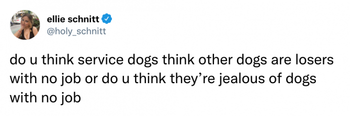 #16 Based on how dogs are, I'd say they love their jobs and think others are lazy.