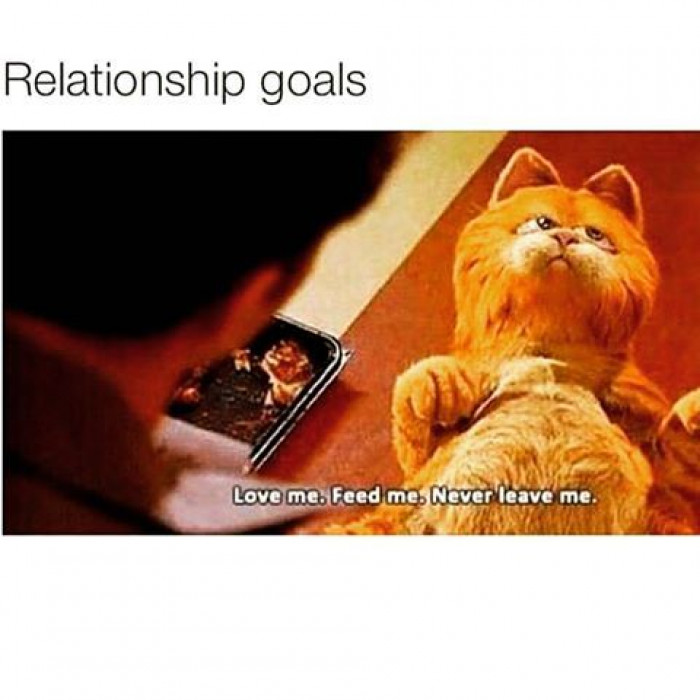 10+ Memes That Perfectly Sum Up Relationships That Will Make You Say ...
