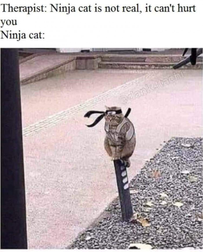 What village does he belong to? Asking for a ninja friend.