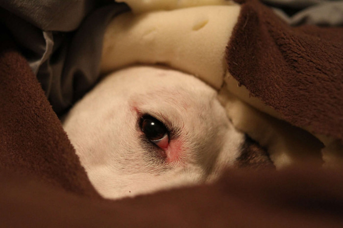 Peek-a-boo I see you