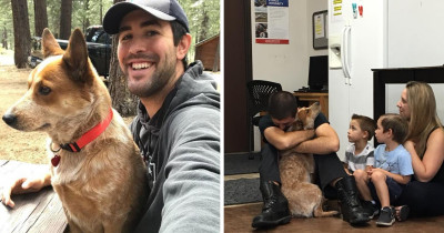 This Dog Was Lost In The Woods For 28 Days And She Couldn't Believe It When She Was Reunited With Her Family