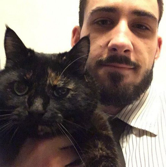 Cat presents twig with mouth, owner receiving morning hunting prize.