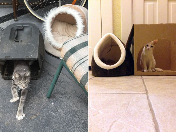 7. Cardboard Boxes > Everything