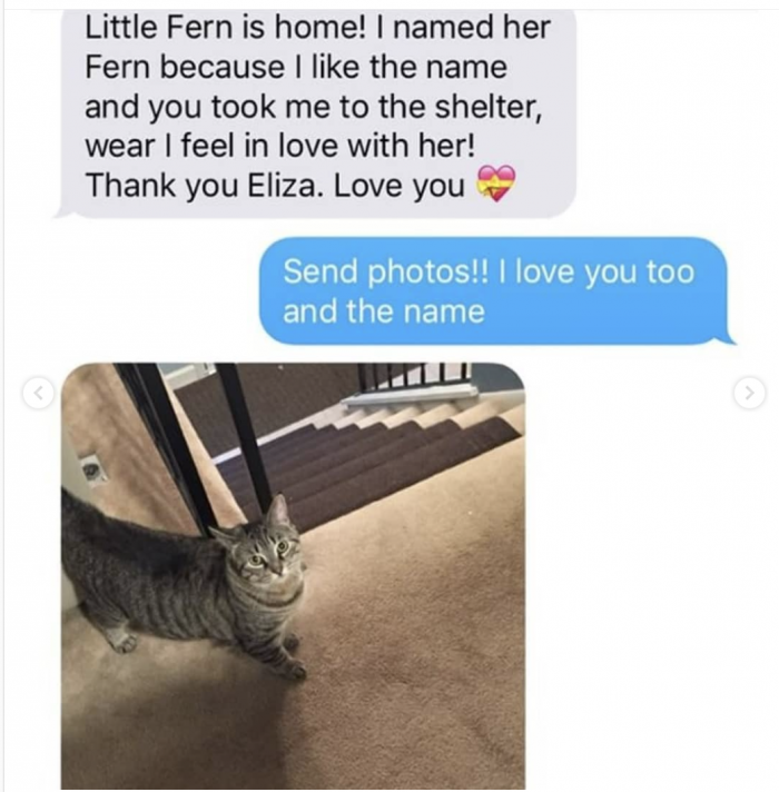 The adorable text thread starts with the cat being named; Fern!