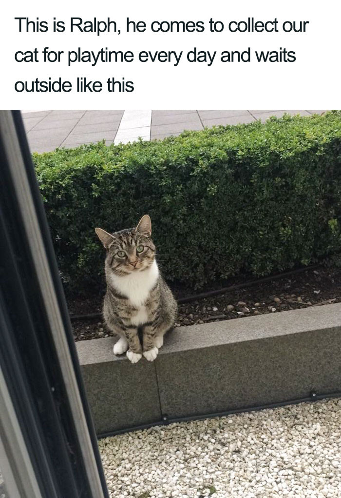 39. Ralph says, "It's time to play!"