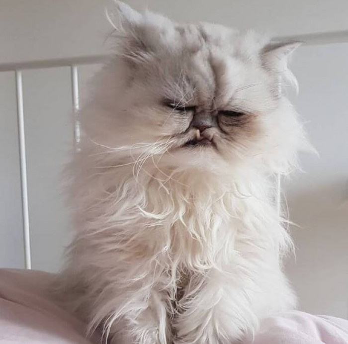 3. When you haven't had your coffee yet.