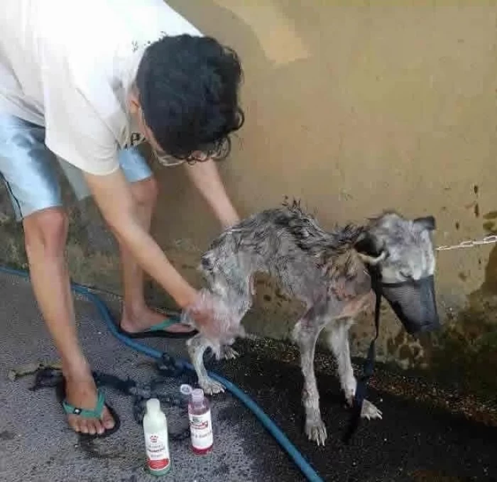 And washed him.