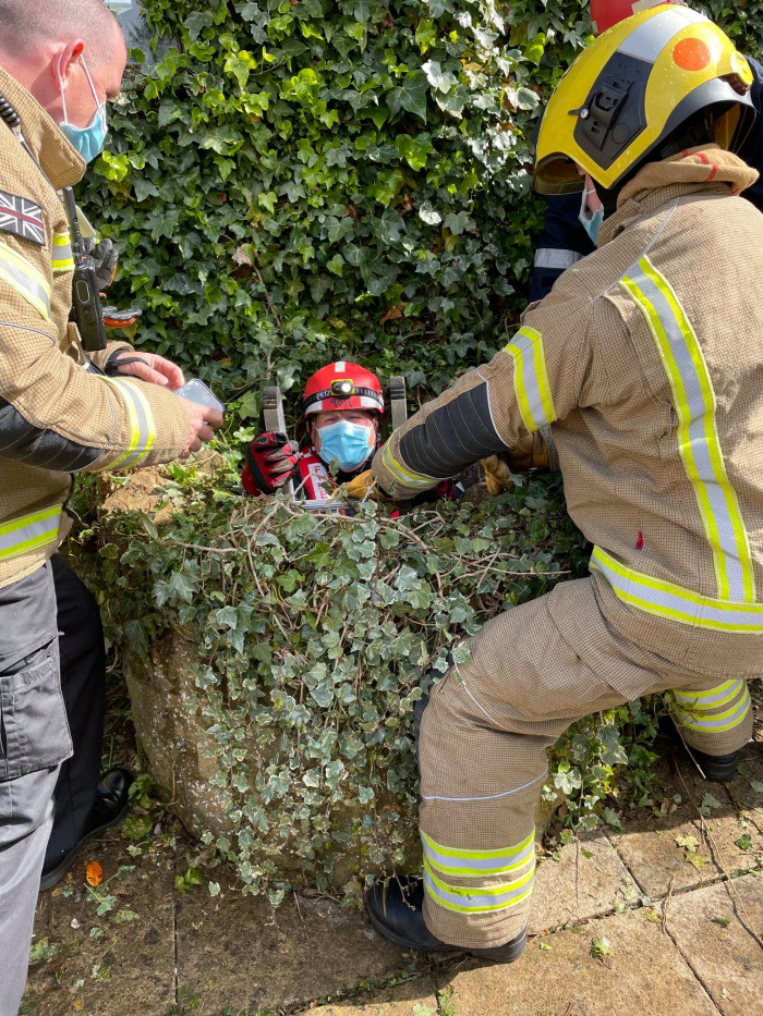 Flea, the cat, was stuck in that well, and it was certainly not far from home! The Northamptonshire Fire and Rescue Service were called to the scene, thanks to the heroic dog's tireless efforts in nagging humans, and arranged the poor cat's rescue.