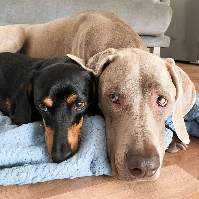 Carolyn could see Arnold getting better and better each day