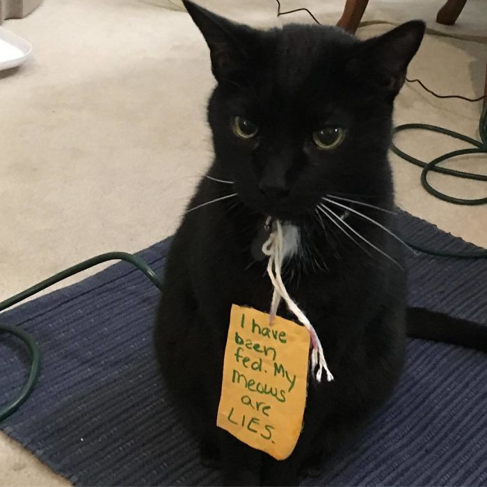 1. "Left This Note For My Husband"