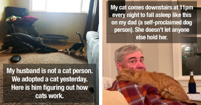 Cats Change The Hearts Of People Who Said They Didn't Love Cats But They Just Hadn't Met The Right One