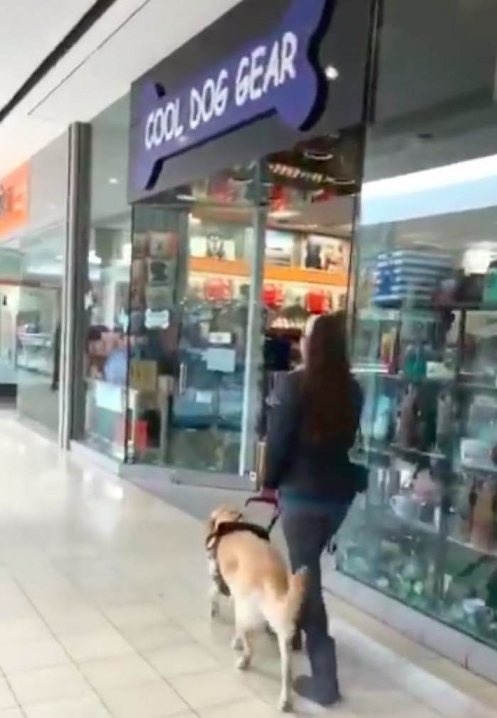 Thai sneaks toward a pet store entrance while Michele watches.