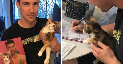 2020 Australian Firefighter's Calendars Are Hotter Than Ever And They Include Cats