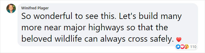 People definitely loved the project and are pushing for more like it