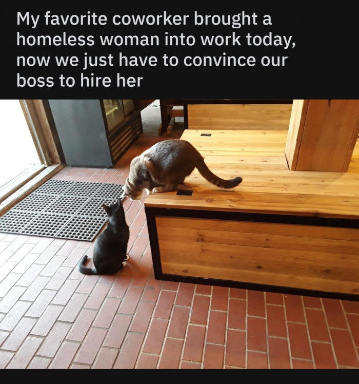 2. I mean... I'd hire her.