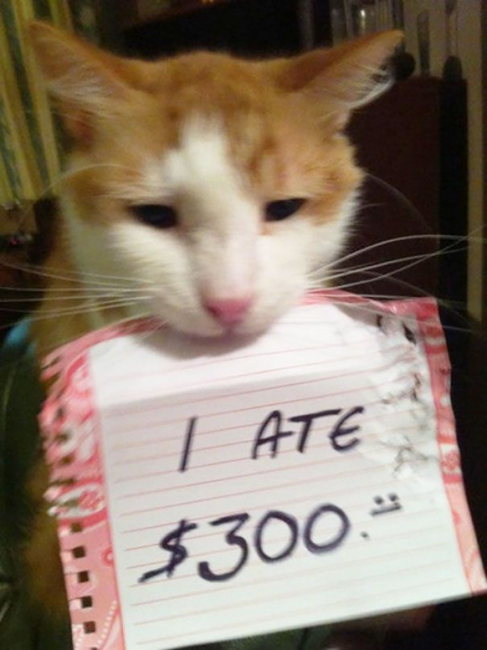 I ate $300