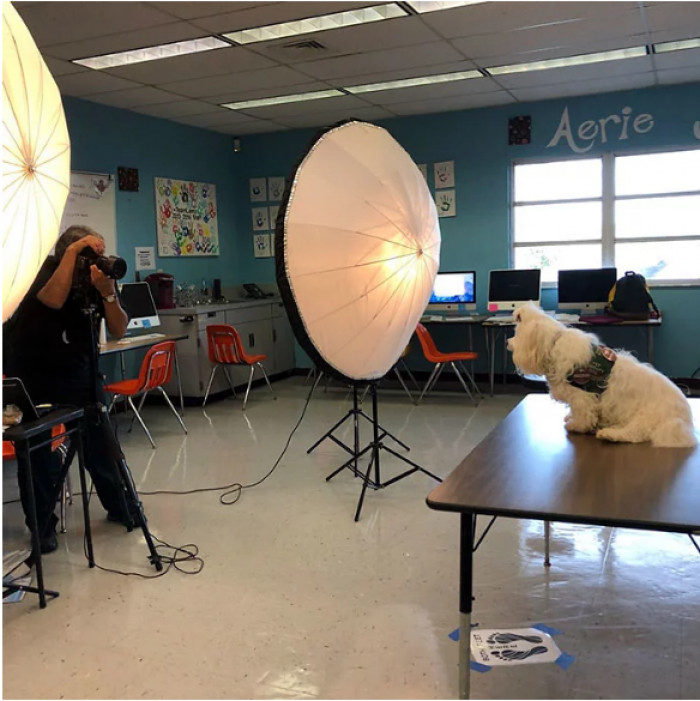 A very good girl getting her picture taken.