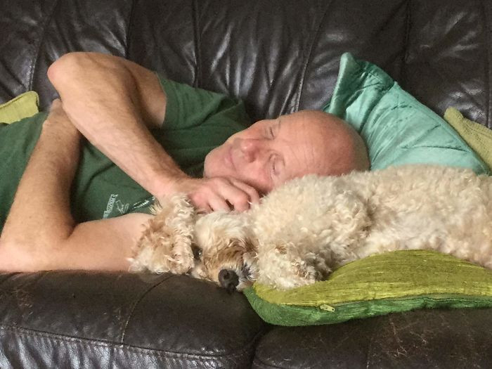 “He Is Not Allowed In The House, On The New Carpet, Upstairs And Definitely Not On The Sofa!”