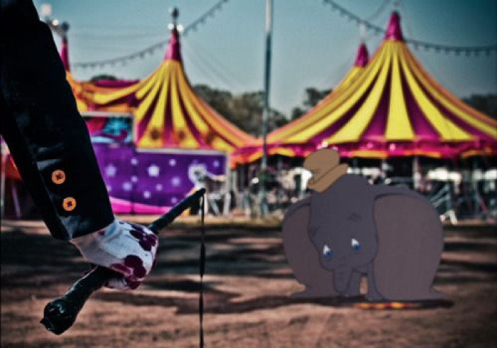 14. Dumbo