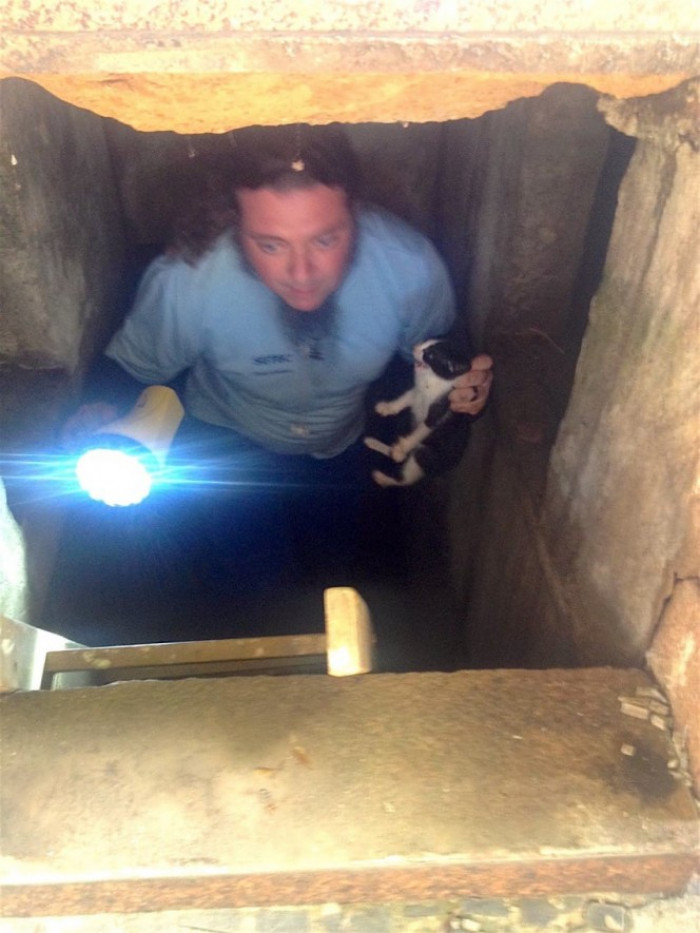 One particularly brave volunteer crawled into the depths of the tomb (remember, there are dead bodies there in their final resting place) and brought the kitty out alive.