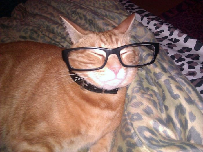12. You ever just doze off in your glasses?