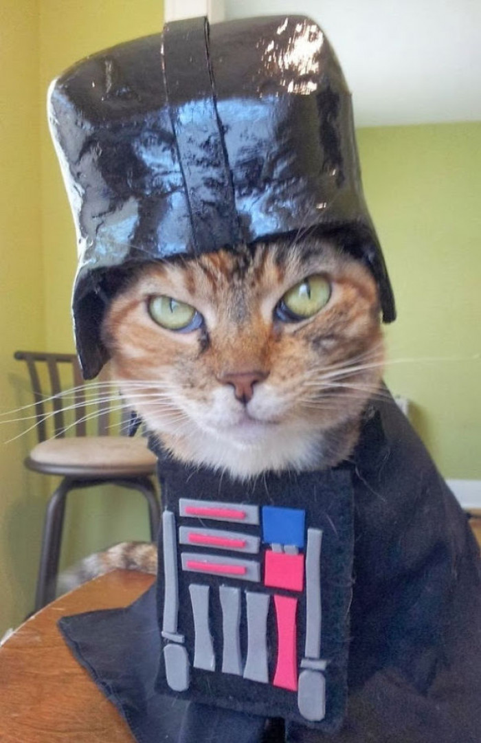 Darth Vader