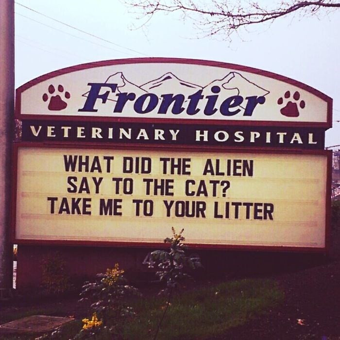 7. Make sure it's quality litter.
