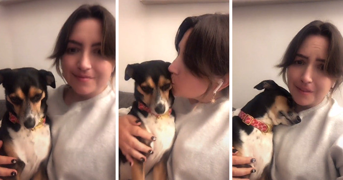 If your pet gives a good reaction, then this is such a heartwarming trend!