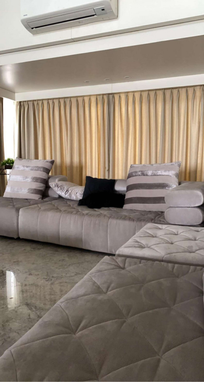 Close-up of a disguised dog, hiding in plain sight near furniture