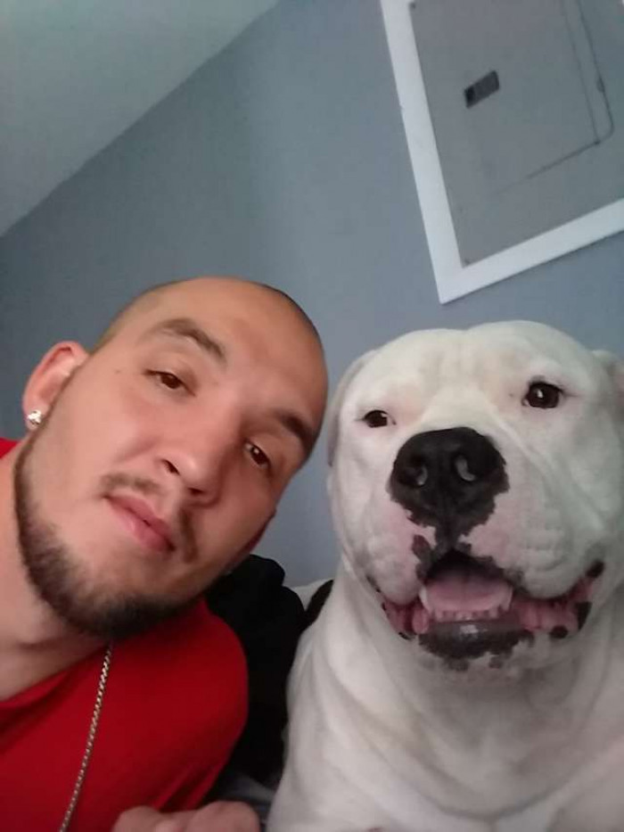 No one had a clue that Gemini had swallowed something he shouldn't have until he became very unwell.