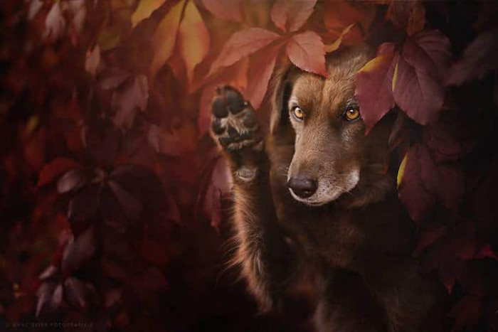 15. Hello Autumn