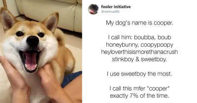 People Share Their Pet's Hilarious Nicknames With The Internet