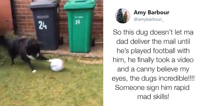 Dog Won't Let This Postman Deliver Mail Until He Plays Soccer With Him