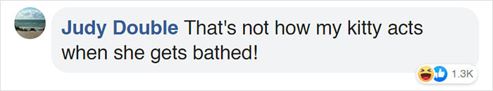 Here's how people reacted.