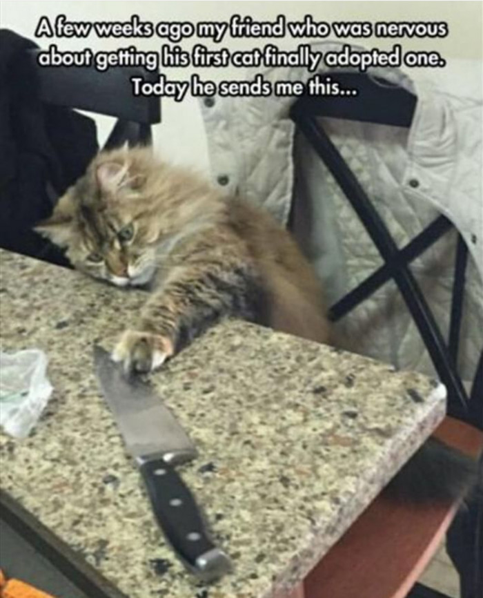 He Has, Uh, Plans.