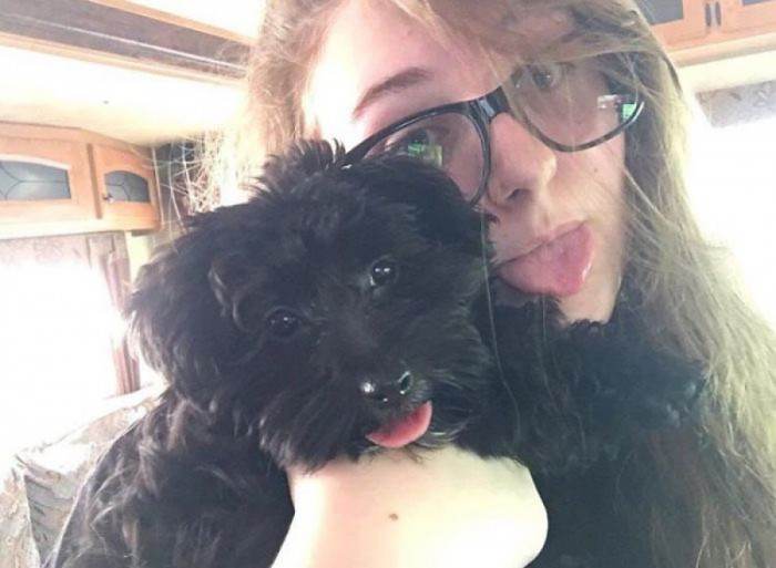 Dog looking surprised and unimpressed, with another pet beside it