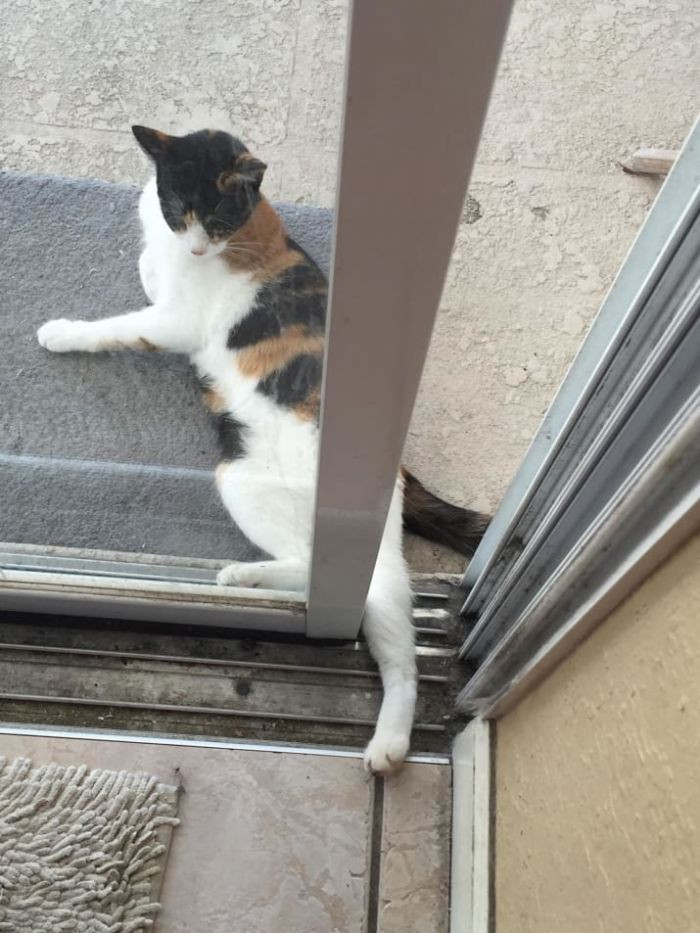 9. Learn Patience. Practice Patience.