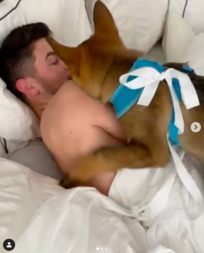 All the kisses. The beginning of a brand new love!