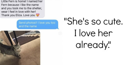 This Grandma Adopts A Cat And The Resulting Texts Are Adorable