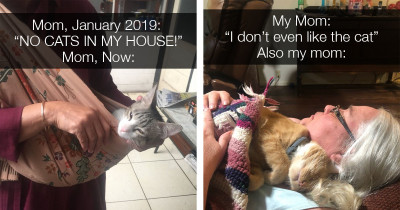 Moms That Didn't Want Cats In Their Homes Until They Inevitably Fell In Love