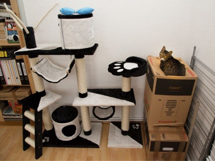 12. They're doing it on purpose.