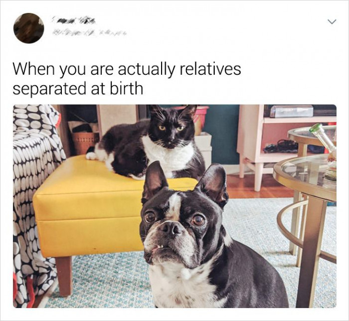 2. Are they siblings?