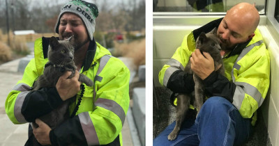 Truck Driver Gets Overwhelmed And Starts Crying When He Gets Reunited With His Cat After Months Of Search