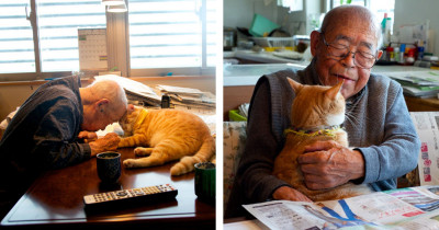 This Grandfather Bonds With A Kitten And It Will Make Your Heart Melt
