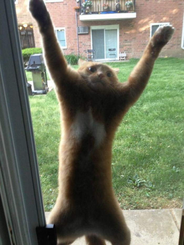34. "I MUST ESCAPE; YOU MUST HELP ME!"