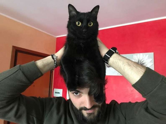 Owner reacts as cat slaps gently, signaling they have had enough food