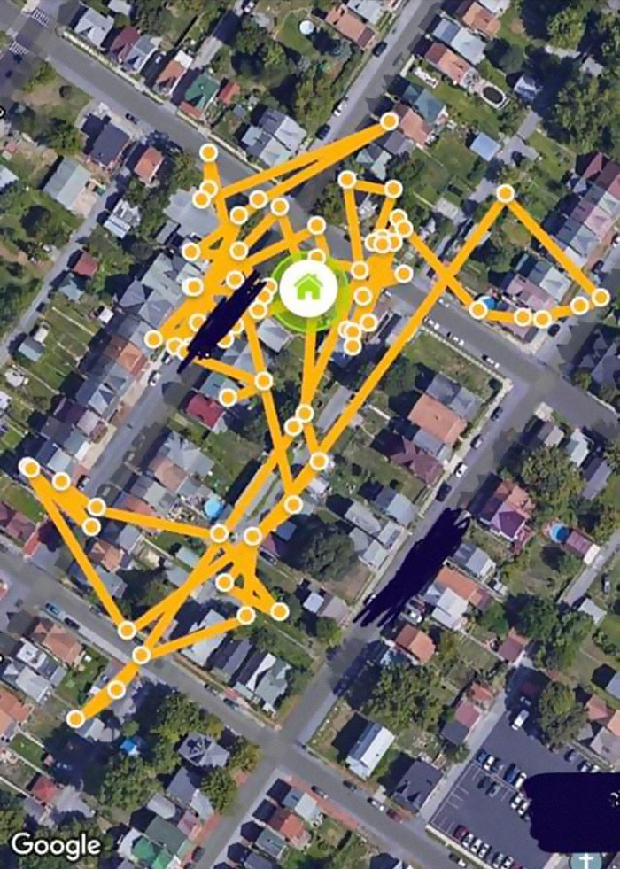 After finding out the truth about Jordan’s secret life, his owner placed a GPS tracker on him.