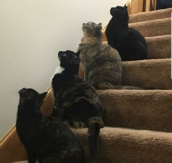 15. The hunt is on.