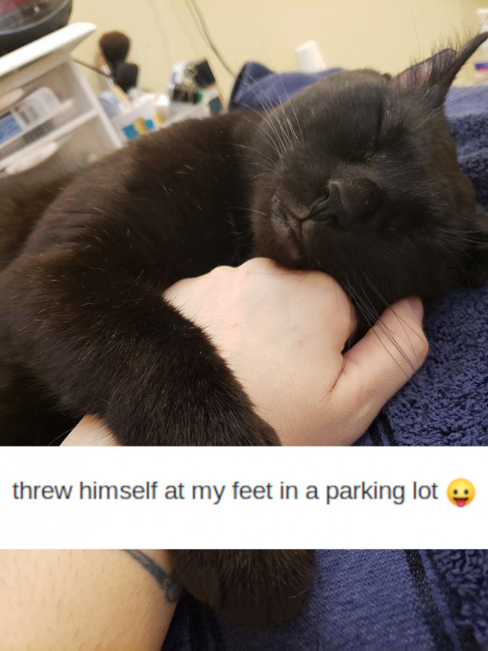 29. And now he's so happy.