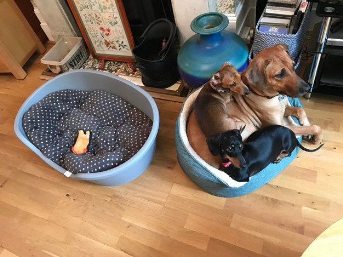 Economic Use of Space.